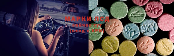 ECSTASY Козельск