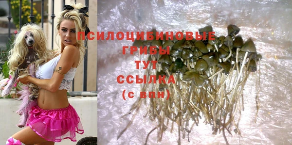 дмт Корсаков