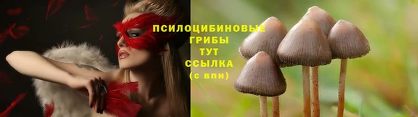 ECSTASY Козельск