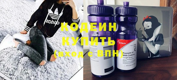 прущий лед Кодинск