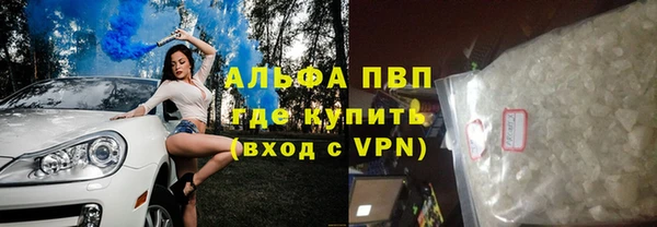 стаф Архангельск