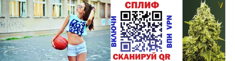 где купить Сосенский Каннабис White Widow